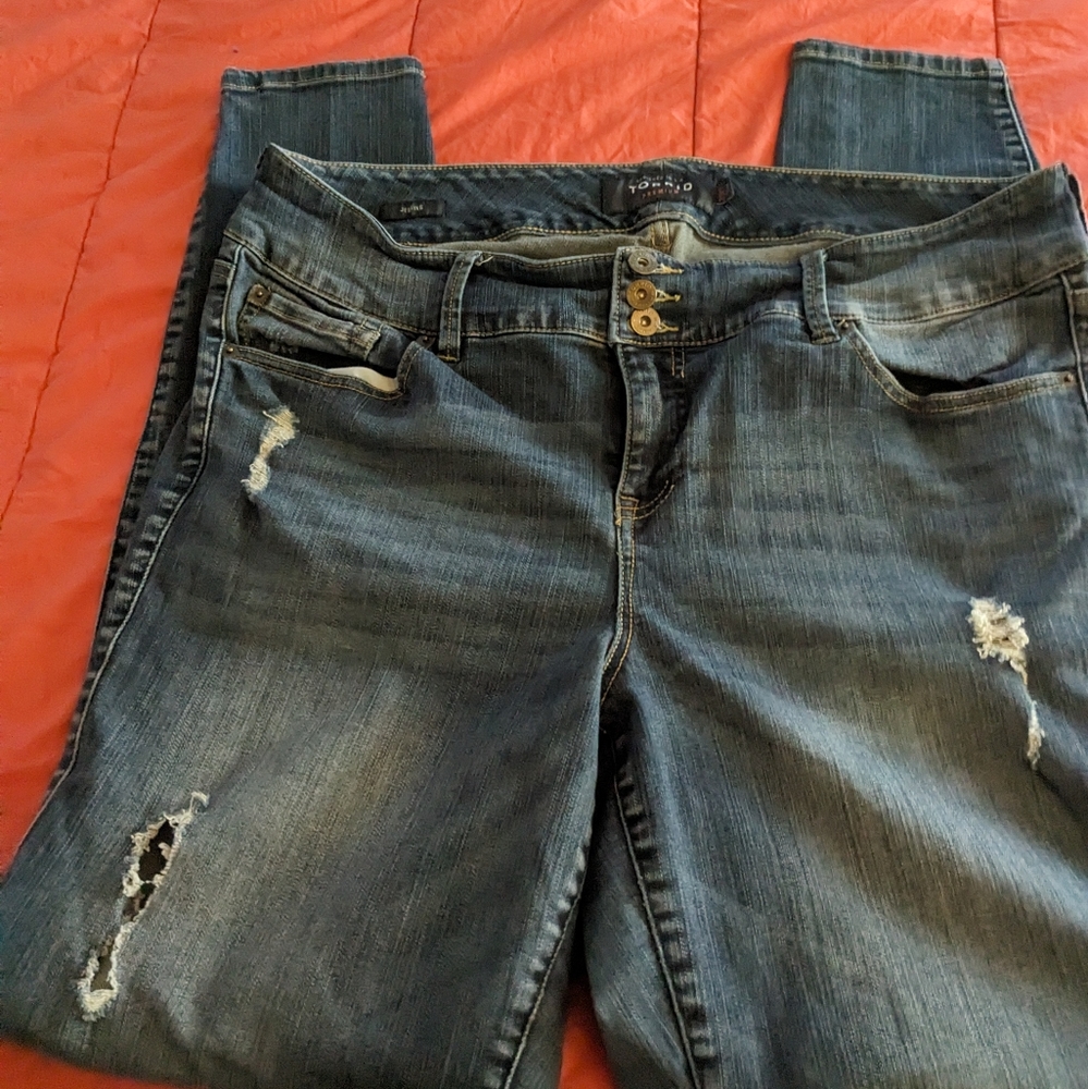 Torrid skinny jeans 20XT